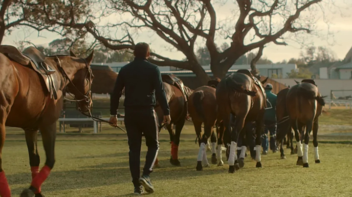 US Polo: Kids