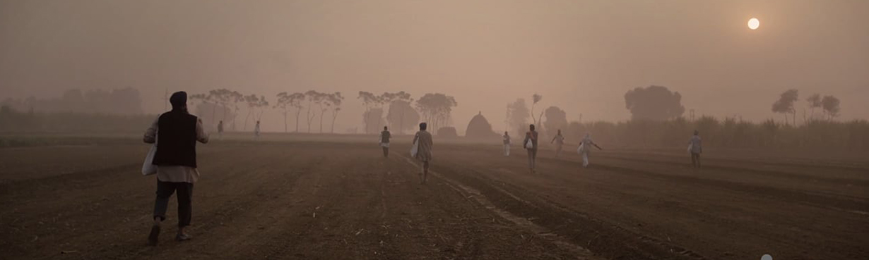 Indo Farm