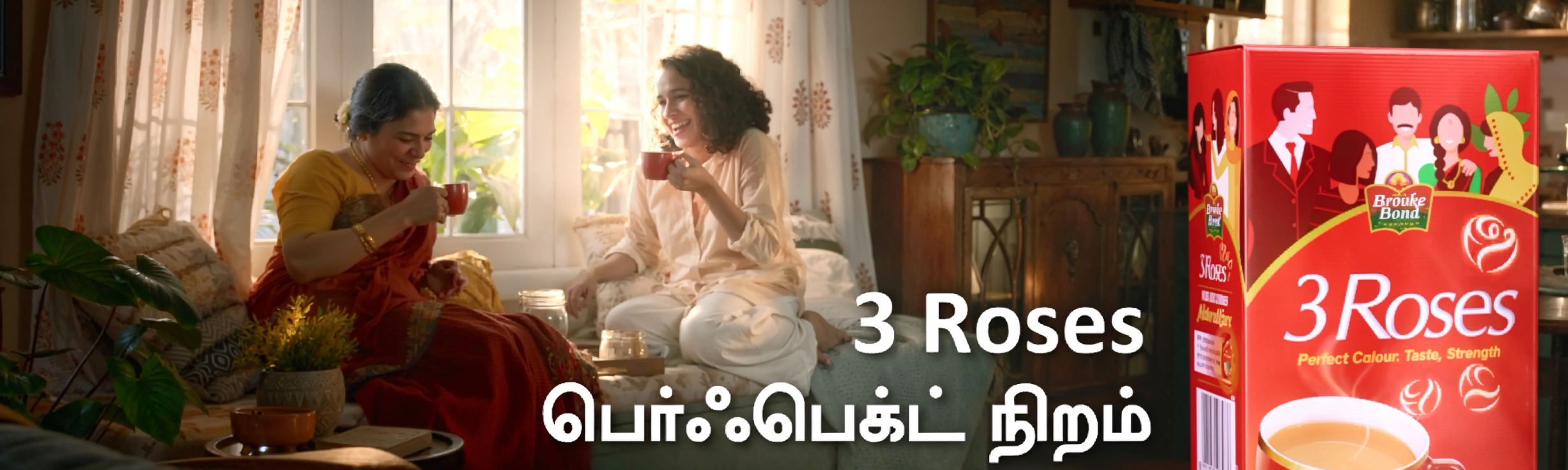 3 ROSES - NEW PACK